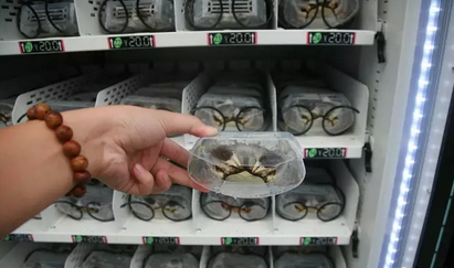 金年会|金年会·jinnian(金字招牌)诚信至上